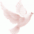 Weiße Taube