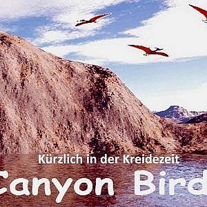 Canyon Birds
