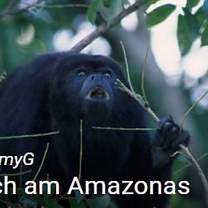 TommyG-Neulich am Amazonas - YouTube