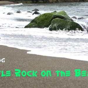 TommyG Little-Rock on the Beach