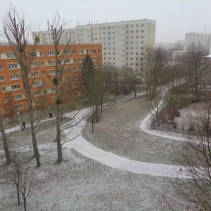 Die ersten Schneeflocken dieses Jahr ...